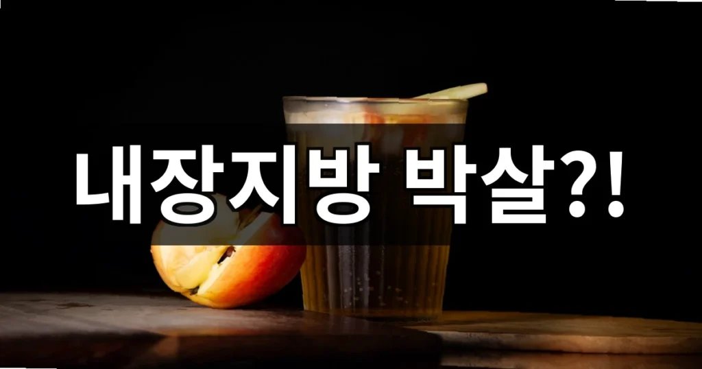 애플사이다 비니거 아는사람만 먹는 효능