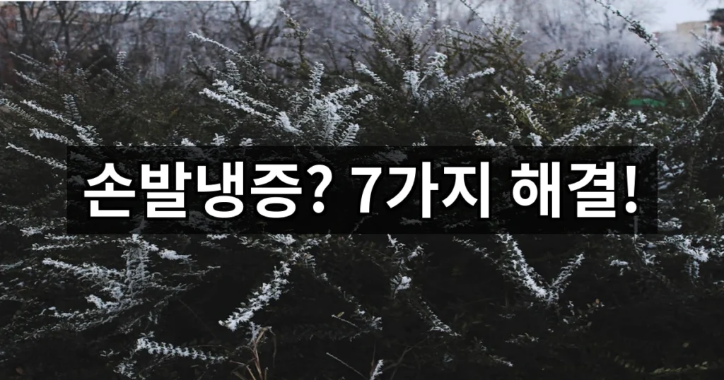 손발냉증 완화 방법 7가지: 겨울에 손발 차가운 이유부터 현실적인 개선법까지