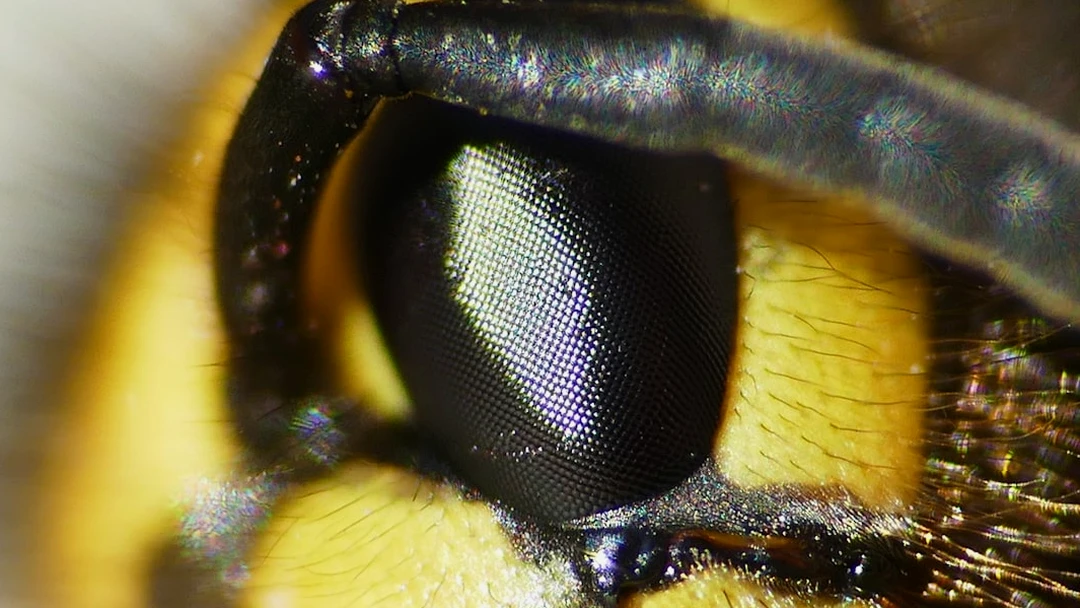 오래된 마스크 섬유가 손상된 모습 3년 지난 마스크