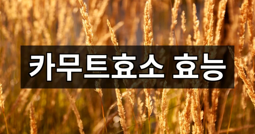 카무트효소란? 효능부터 먹는 방법까지 한 번에 정리